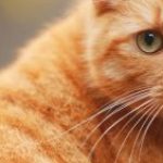 Profile picture of jue